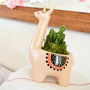 llama-cactus-Planter | bridesmaid gifts