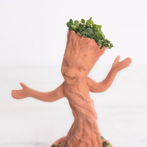 I am Groot. This Cute Dancing Groot Chia Pet Comes with everything you need to extrude leafy greens out of Groot’s head.